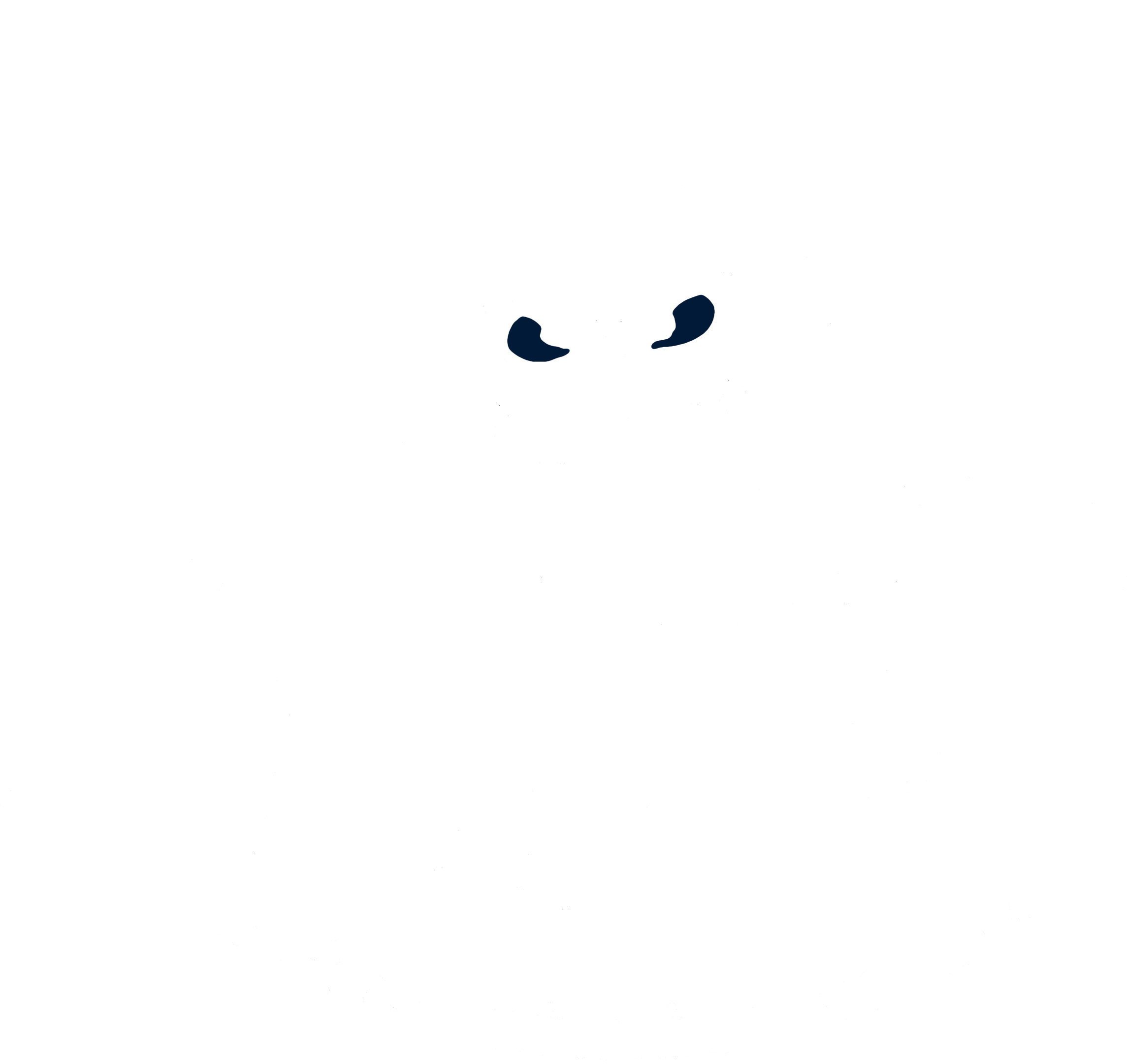 Bunbury 'Stingers' Masters Swimming Club Incorporated